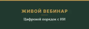 Обложка товара: живой вебинар «Цифровой порядок с ИИ»